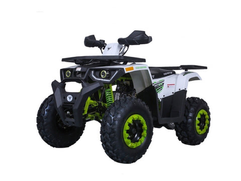 Tao Tao Raptor 200 ATV - Green/White