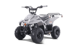 Tao Motors Boulder 110cc ATV - Gray