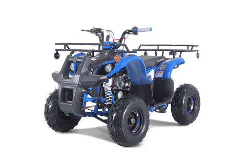 Tao Motor D125 Youth ATV - Blue