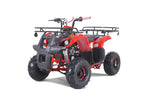 Tao Motor D125 Youth ATV - Red